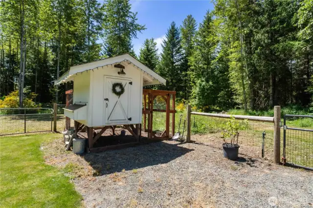Your chickens will love you for this custom-built chicken coop! The current chickens want to stay if you will let them.