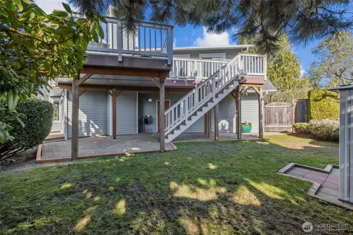 Backyards plenty for all possibility