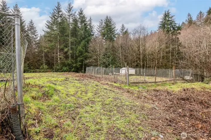 A look at upper pasture area from back of house.