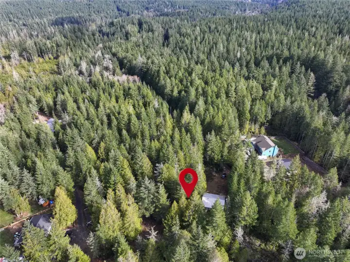 Property access from Kissin Tree