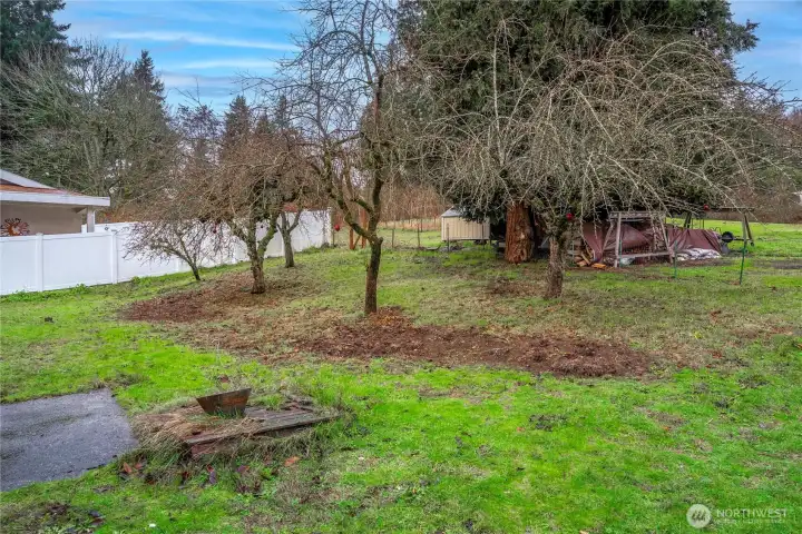 Fruit trees allow you to enjoy home grown fruits