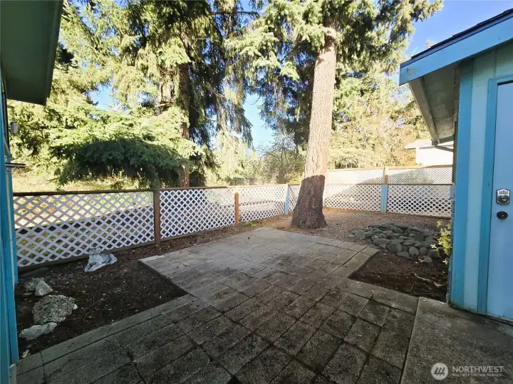 Back Patio