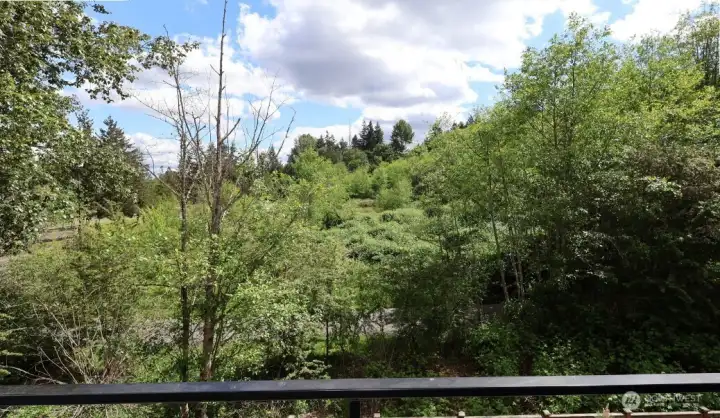 View from patio