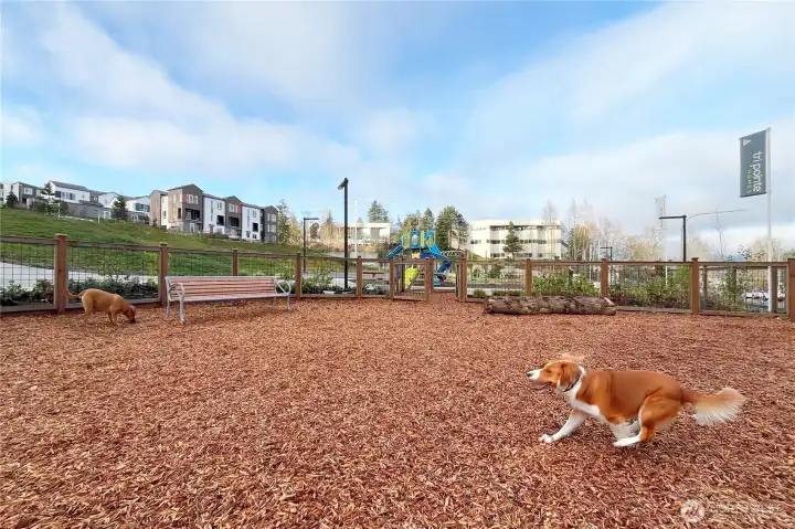 Park