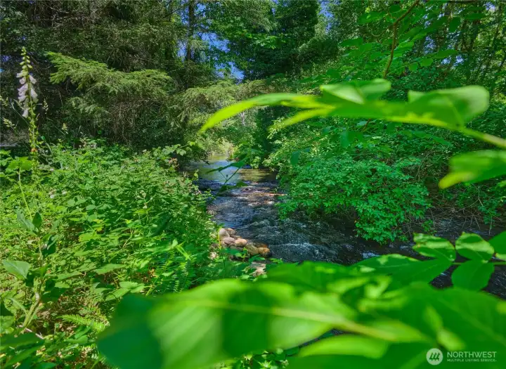 May Creek