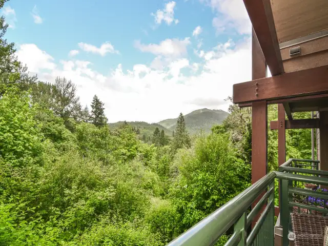 Enjoy the tranquil patio with territorial wooded view and Tiger Mtn