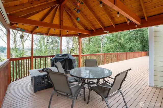 New Gazebo just off Kitchen area