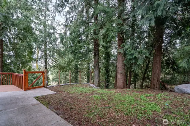 Side yard with fenced Dog Run area. Three access points.