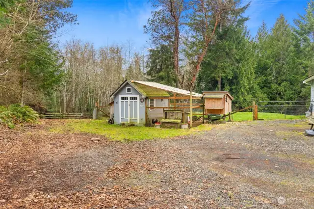 Animal paddocks and shed/ chicken coop