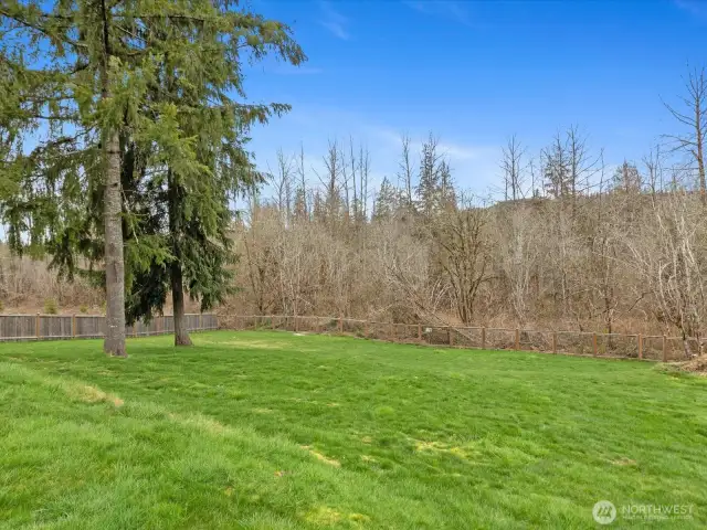 Spacious backyard with endless possibilities.