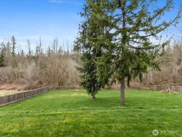 Enjoy the best of outdoor living with this spacious yard, complete with mature trees and open lawn space. A perfect blend of beauty and function for all seasons.