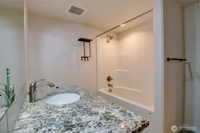 Lower level full bath