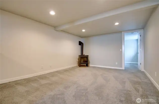 Lower level living room