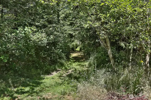Enjoy the trails. You have the benefit of open space with surrounding woods.