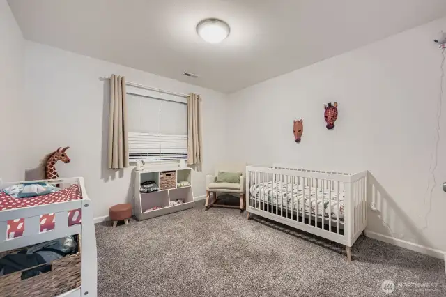 Another spacious bedroom with a walk-in closet.