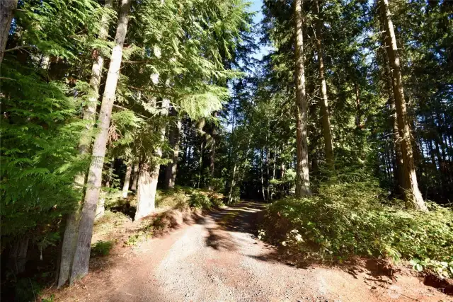 circular drive from house