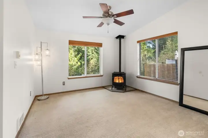 Newer pellet stove for cozy living