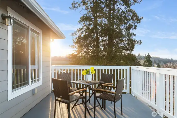 Awesome top floor deck has great light and vistas.
