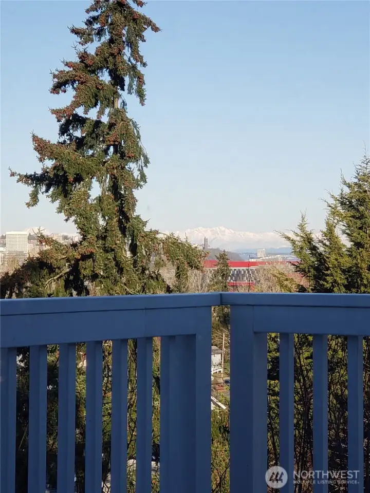 Olympic Mountain range views!