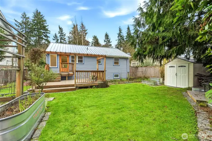 never underestimate the power of a shady retreat