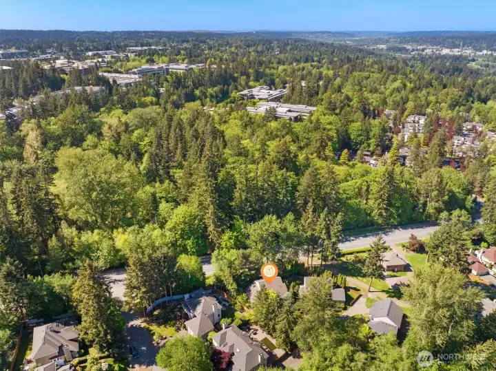 Blocks to Microsoft campus