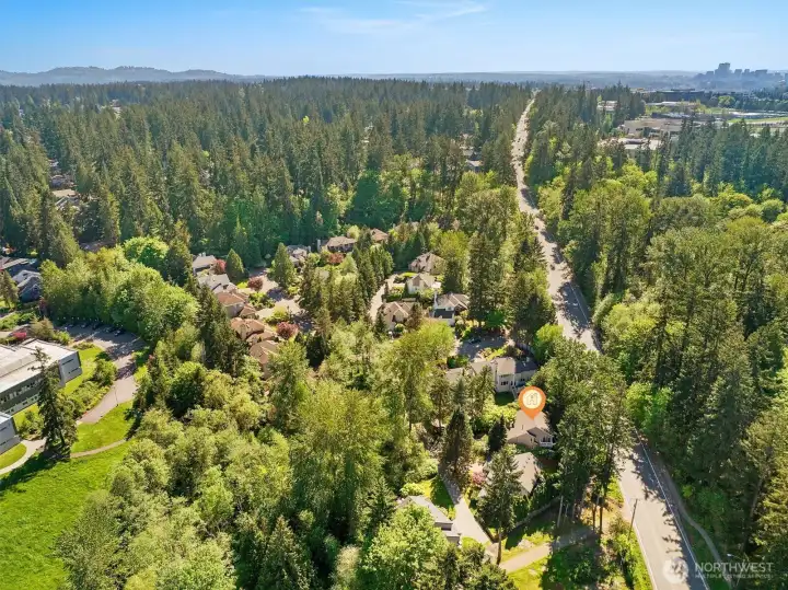 Only a few minutes to the shops and amenities of BelRed/Overlake, and downtown Bellevue beyond.