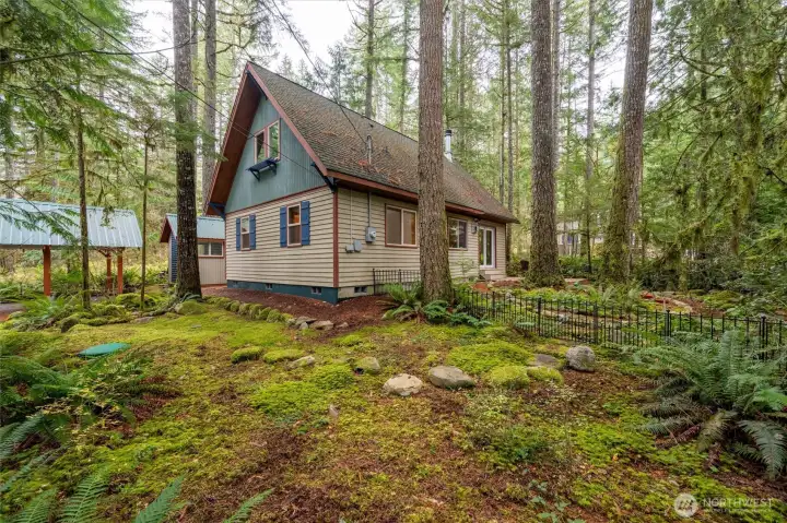 Nestled amongst the evergreen trees of Glacier.