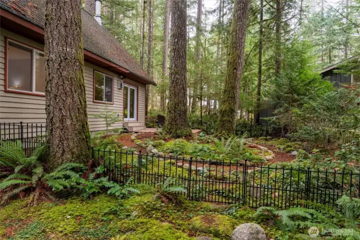 The natural side yard.