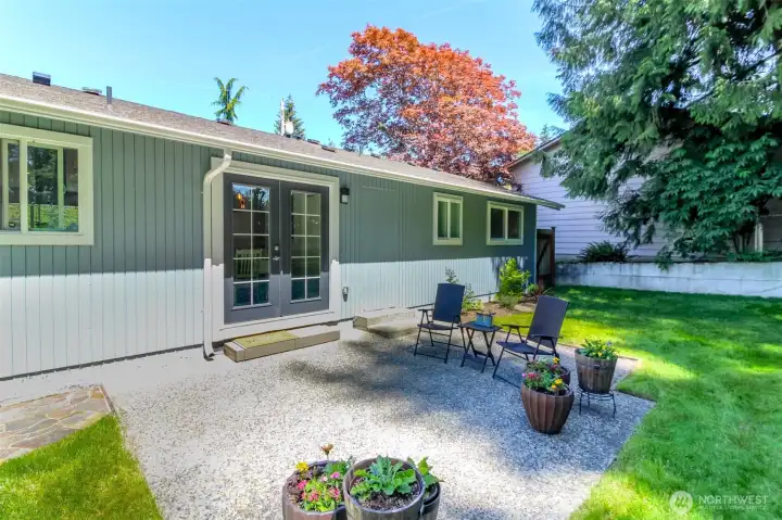 Back yard