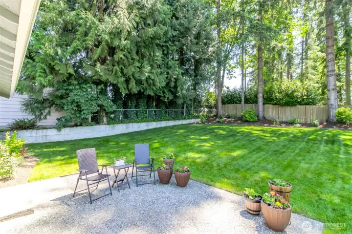Back yard