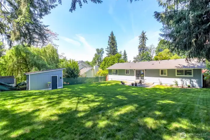 Back yard