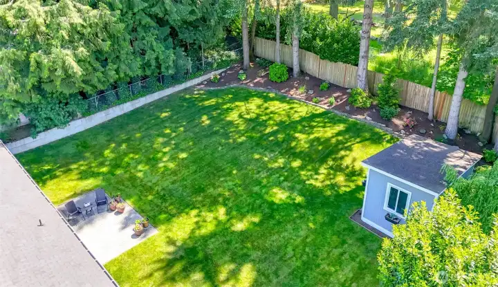Back yard