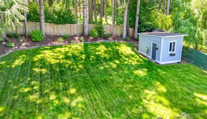 Back yard