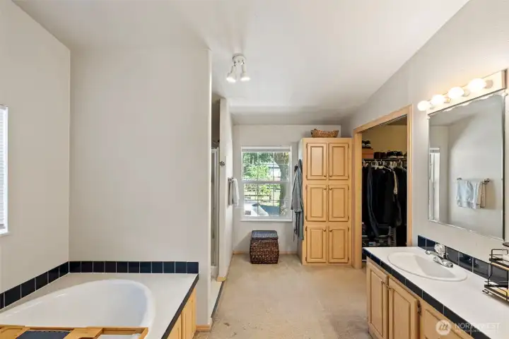 Primary ensuite soaking tub & walk-in