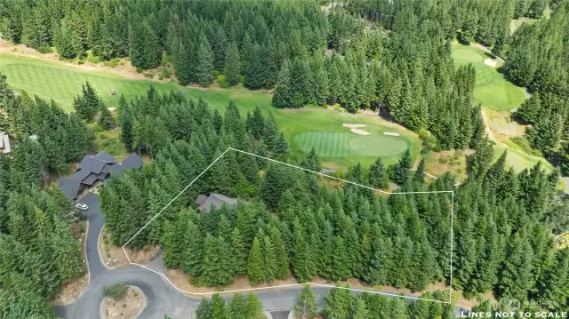 Over an acre homesite. Close to the Great House on Hole #1 Green. Limb up the trees and you will have an incredible view. You have room to add to house a Pool, Casita, 2nd Garage with guest quarters, so many possiblities with the homesite.