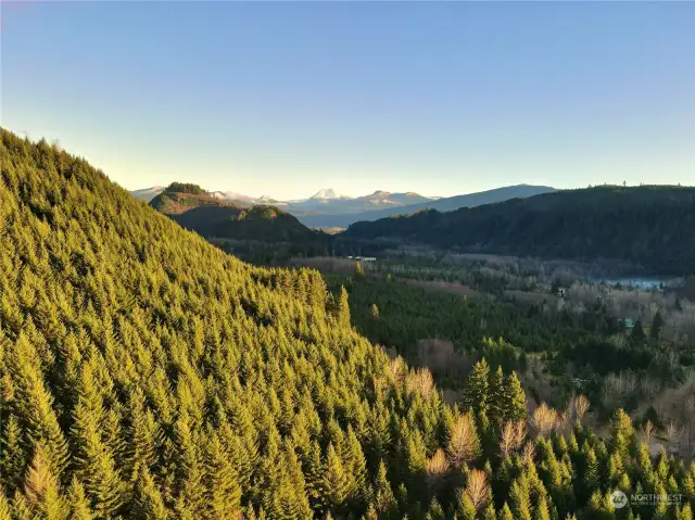 Mt Adams in the distance