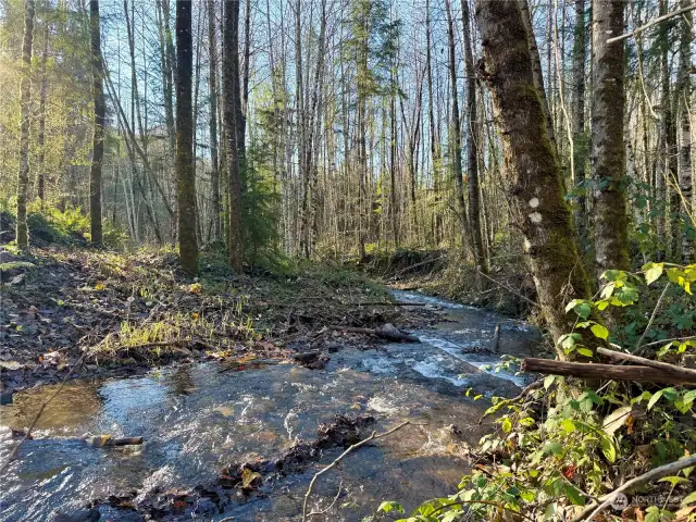 Stiltner Creek runs north to south through property.