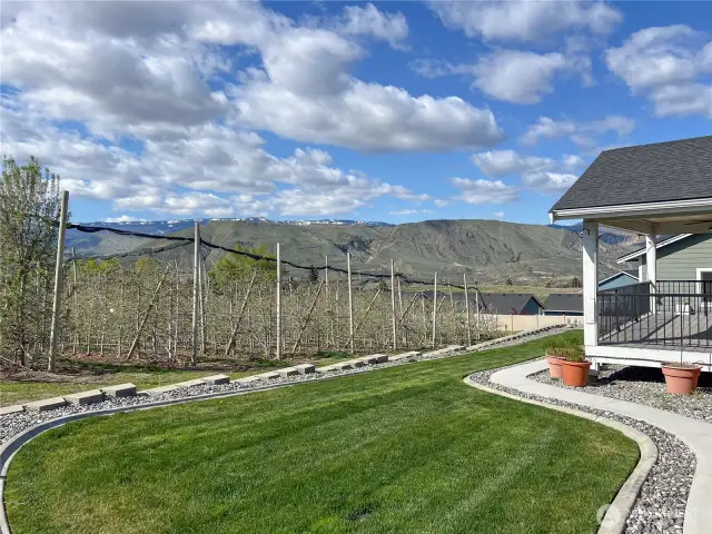 Yard with Views!