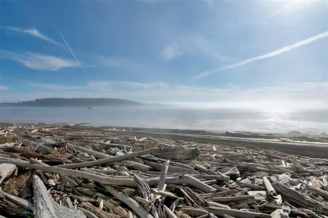 view of the bay in Oak Harbor check out the cool driftwood here
