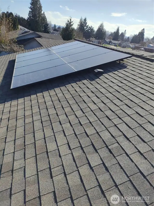 10 solar panels on back roof