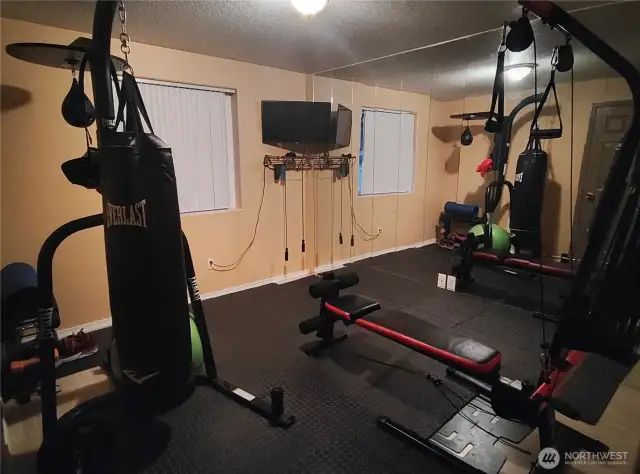 bedroom gym pic 2