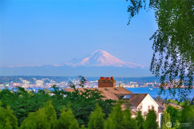 And of course Mt. Rainier!