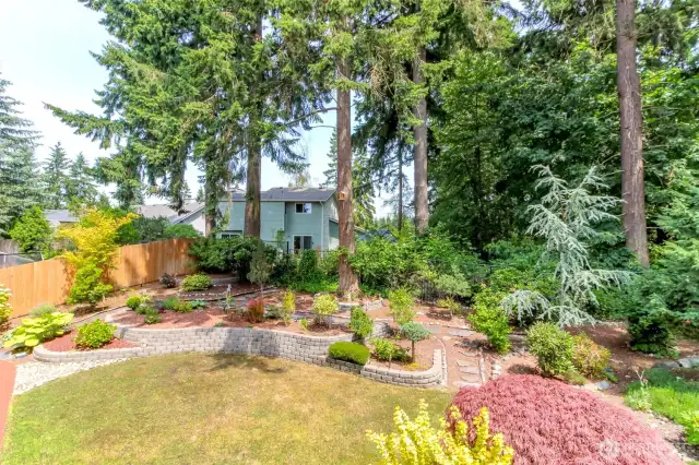 Private Backyard