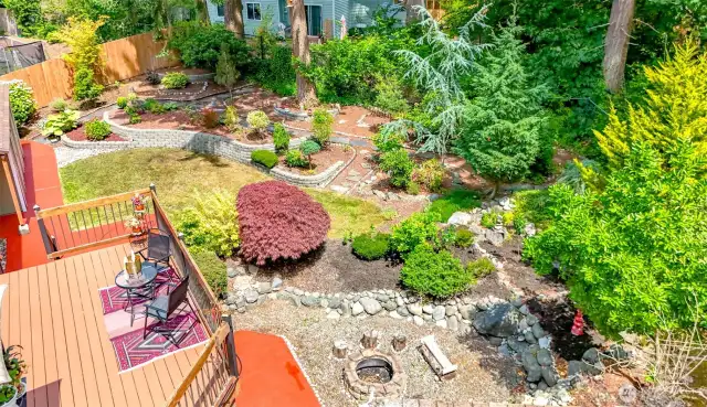 Backyard Aerial