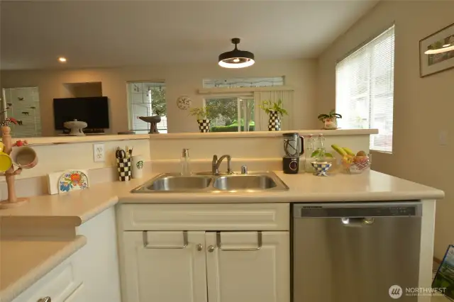 Kitchen sink