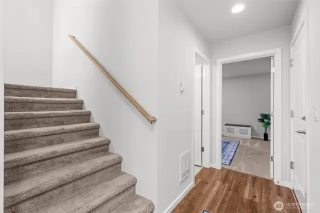 Another view of the downstairs hallway.