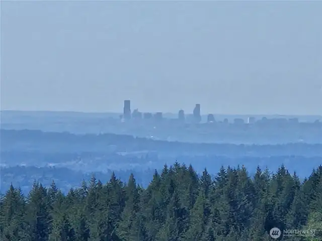 Seattle Skyline