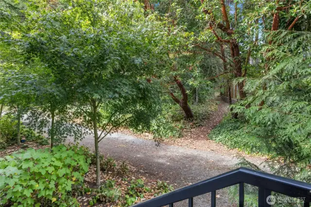 From your back steps there is also a trail that leads to the neighborhood in back of Hanami Lane and further on to the Sound to Olympic Trail on HWY 305.