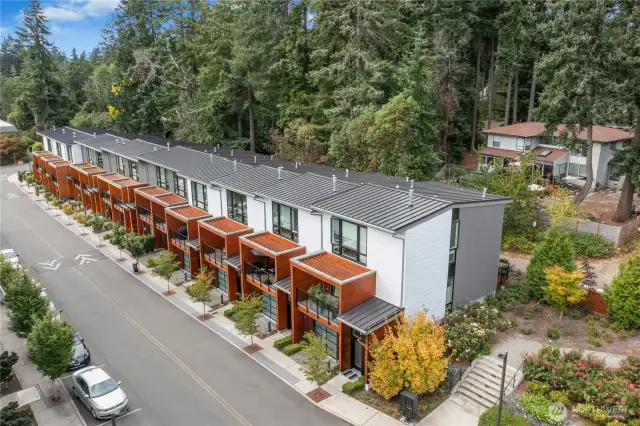 Hanami Lane is a two-way street with guest parking and it has a resident access lane in the back of the building too.