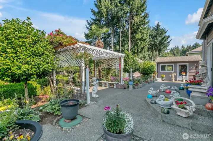 Back patio with pergola